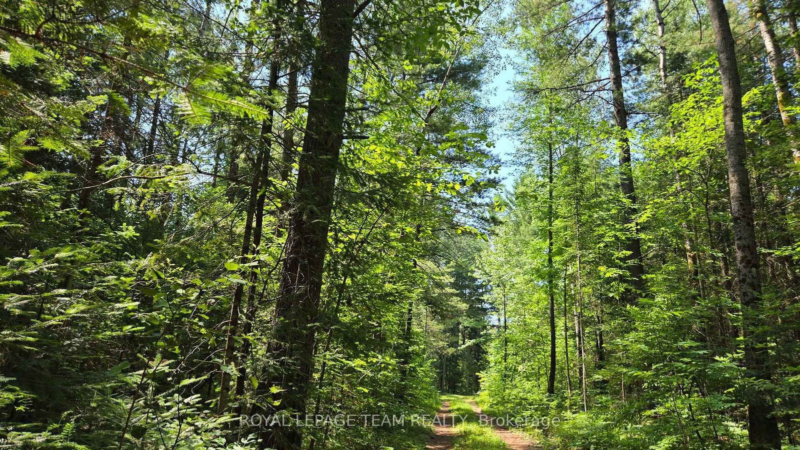 00 (31253) Highway 41 Highway • Eganville, ON photo 4