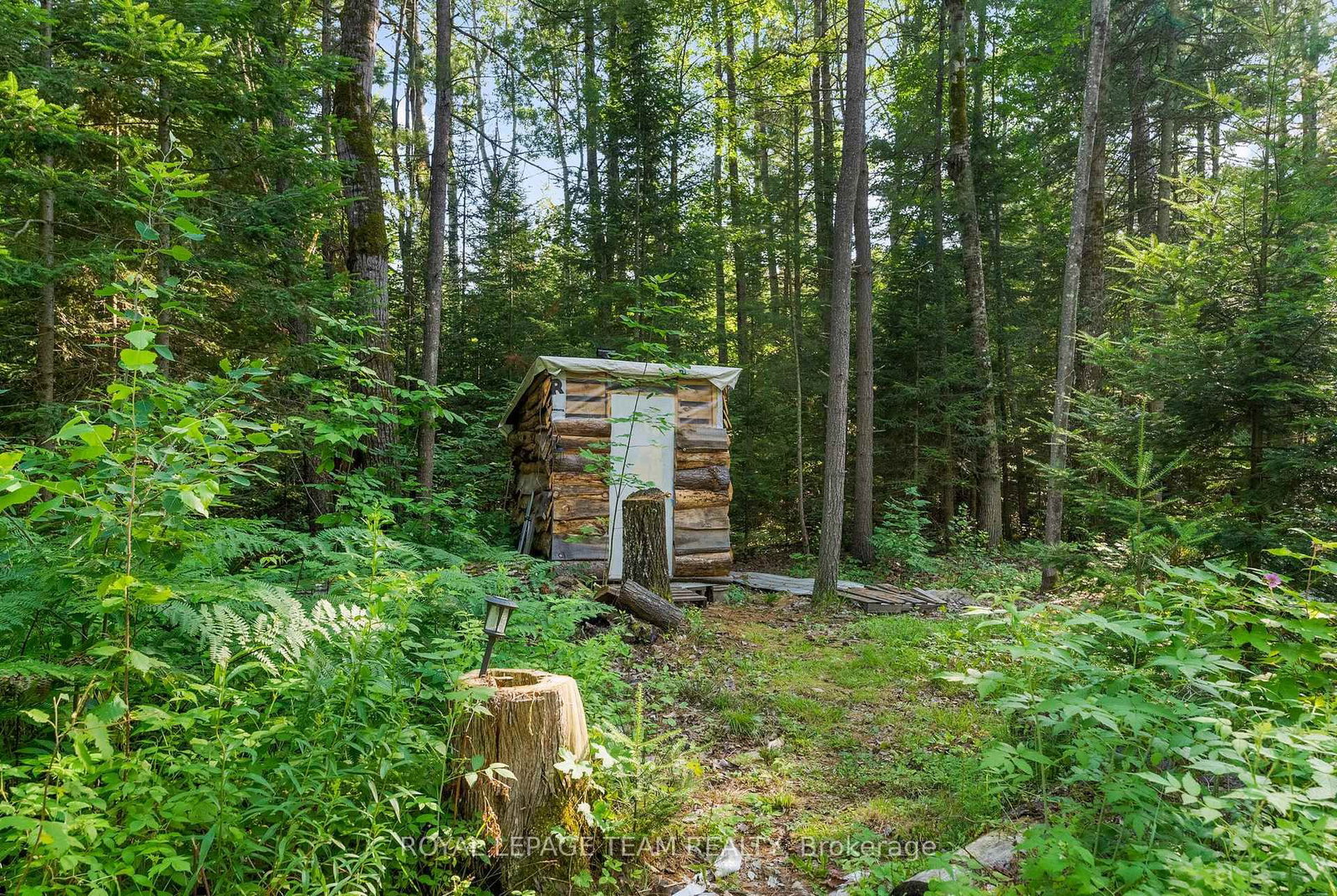 00 (31253) Highway 41 Highway • Eganville, ON photo 8