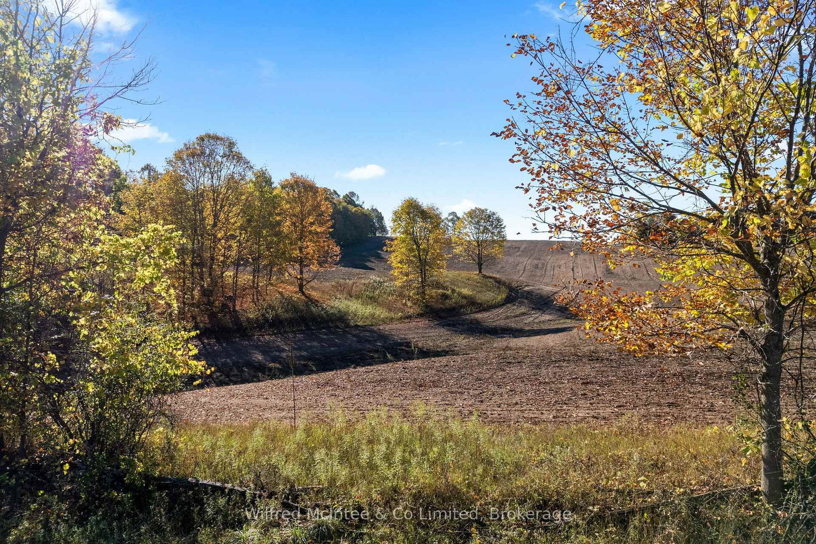 302148 CON 2 SDR - Photo 35