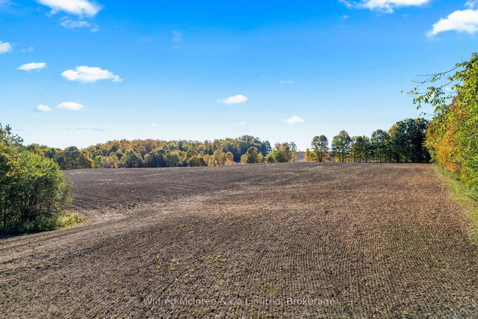 302148 CON 2 SDR - Photo 37