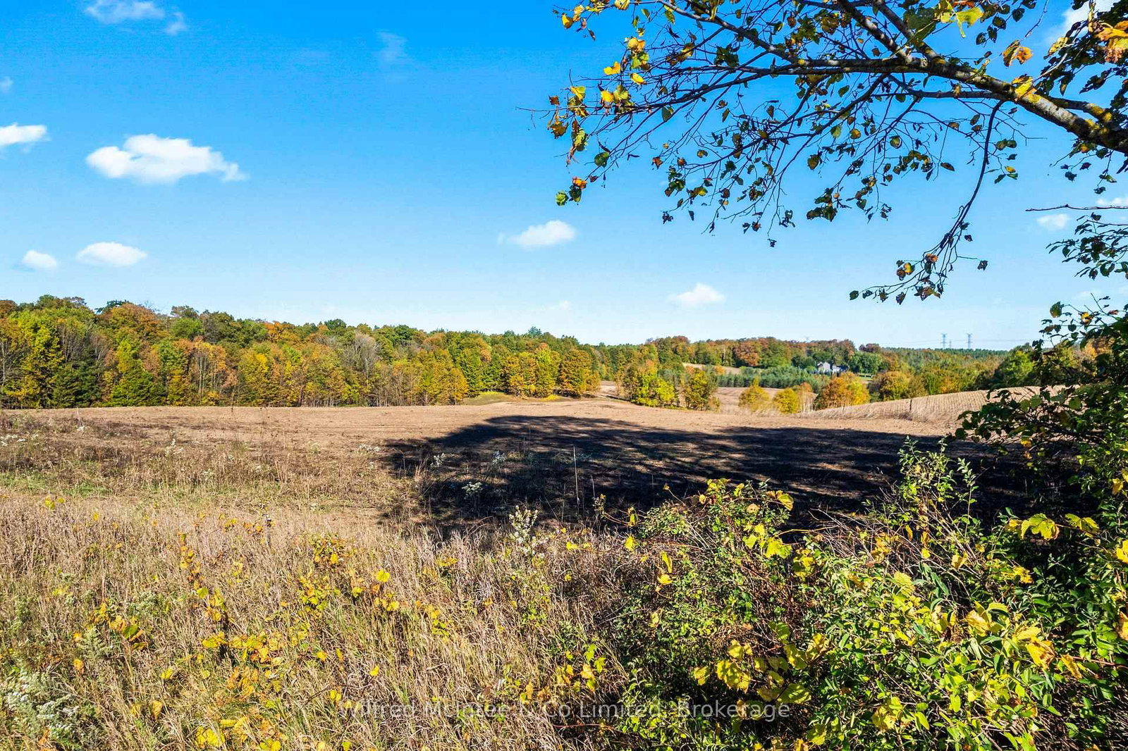 302148 CON 2 SDR - Photo 38