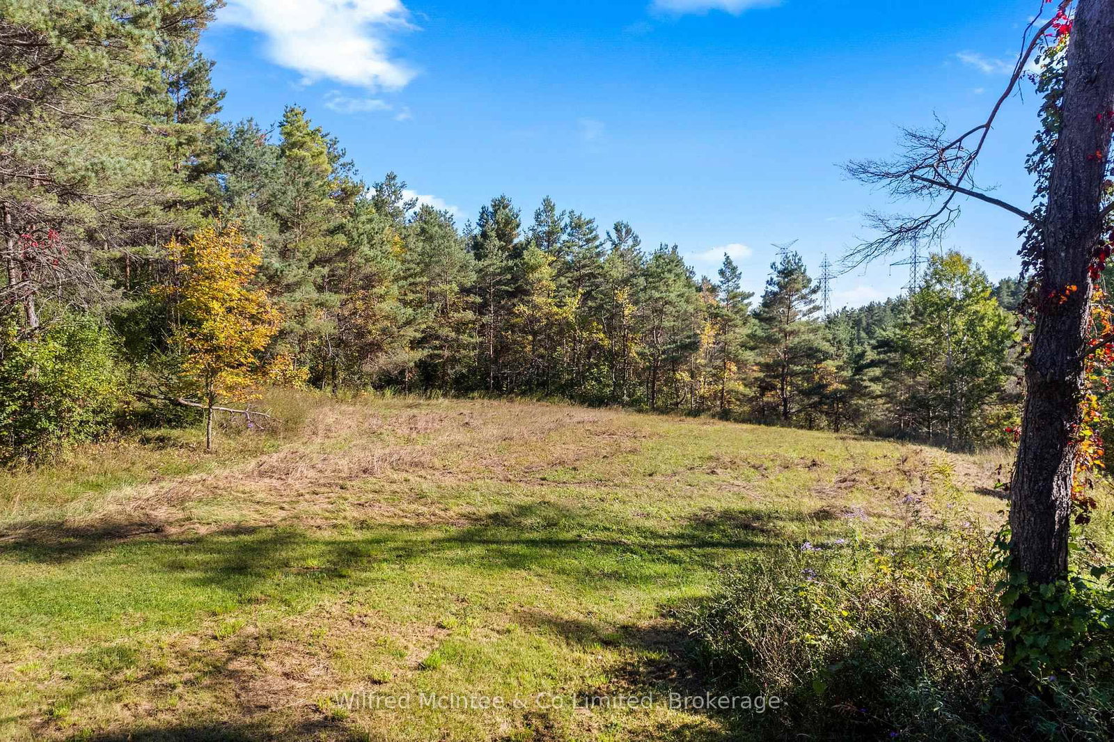 302148 CON 2 SDR - Photo 41