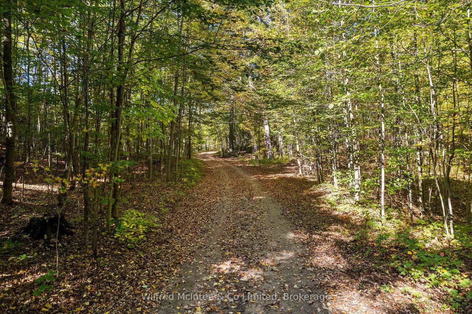 302148 CON 2 SDR - Photo 6