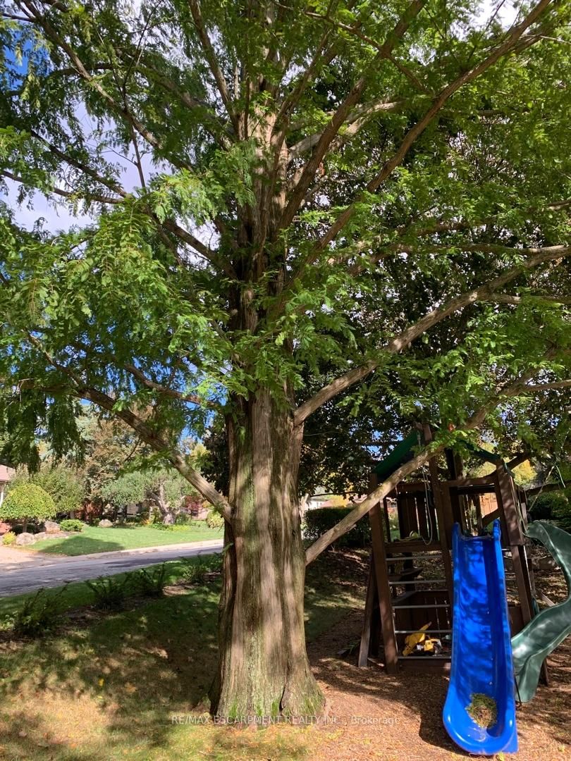 Detached House for sale at 81 Thomson Drive, Hamilton, Ontario, L8B 0G5 - Waterdown - MLS: X12850284