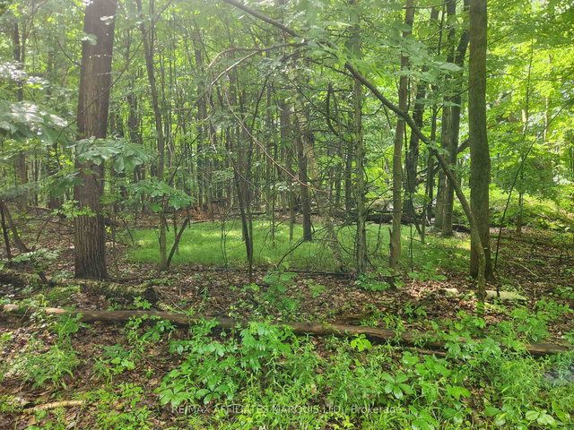 LOT Cedar Sands Road Way