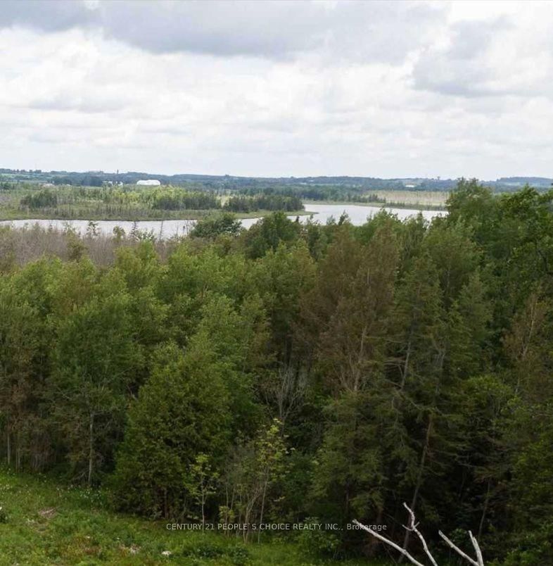 Vacant Land - 351591 17th Line, East Garafraxa, L9W 7E1 | Image 2