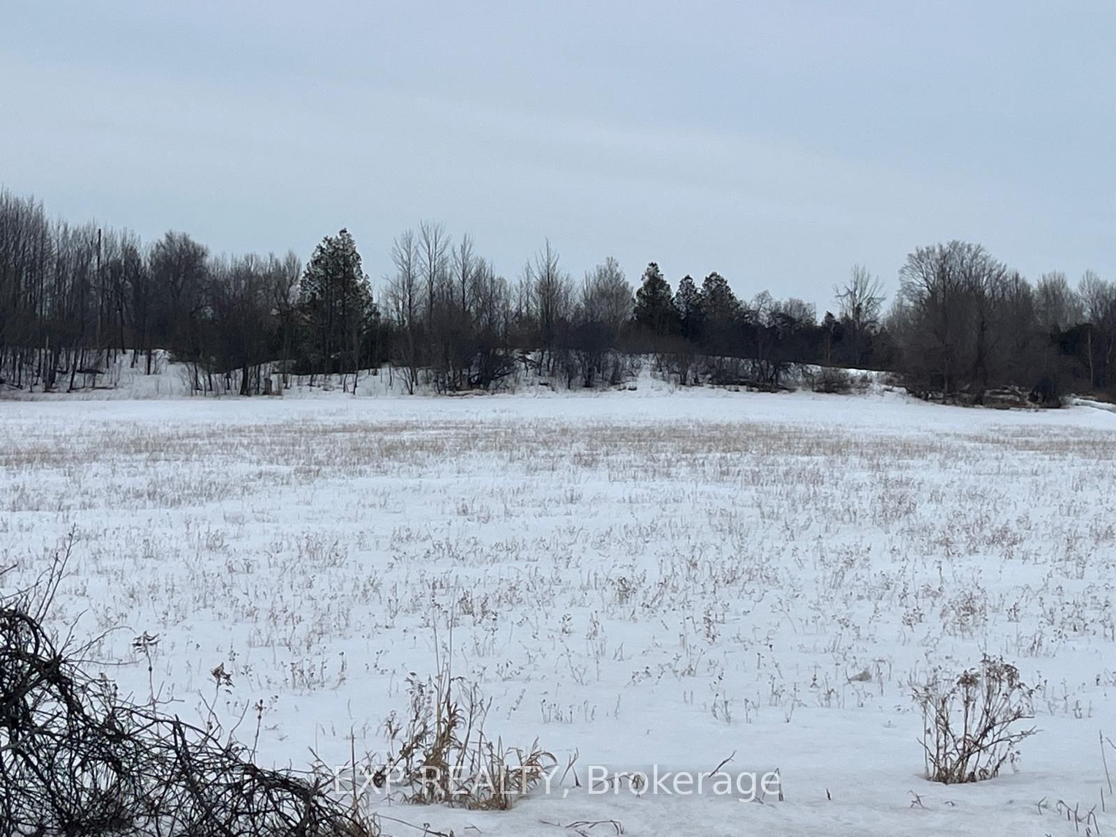 Vacant Land sold at 7615 MCCORDICK Road, North Gower, Ontario, K0A 2T0 - Rideau Twp S of Reg Rd 6 E of Mccordick Rd. - MLS: X12853612