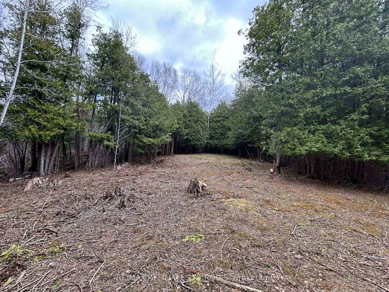 00 Snowdons Corners Rd, Merrickville-Wolford, K0G 1N0 | Image 2