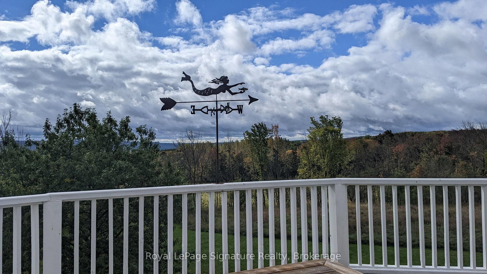 807035 25th Side Road • Grey Highlands, ON photo 33