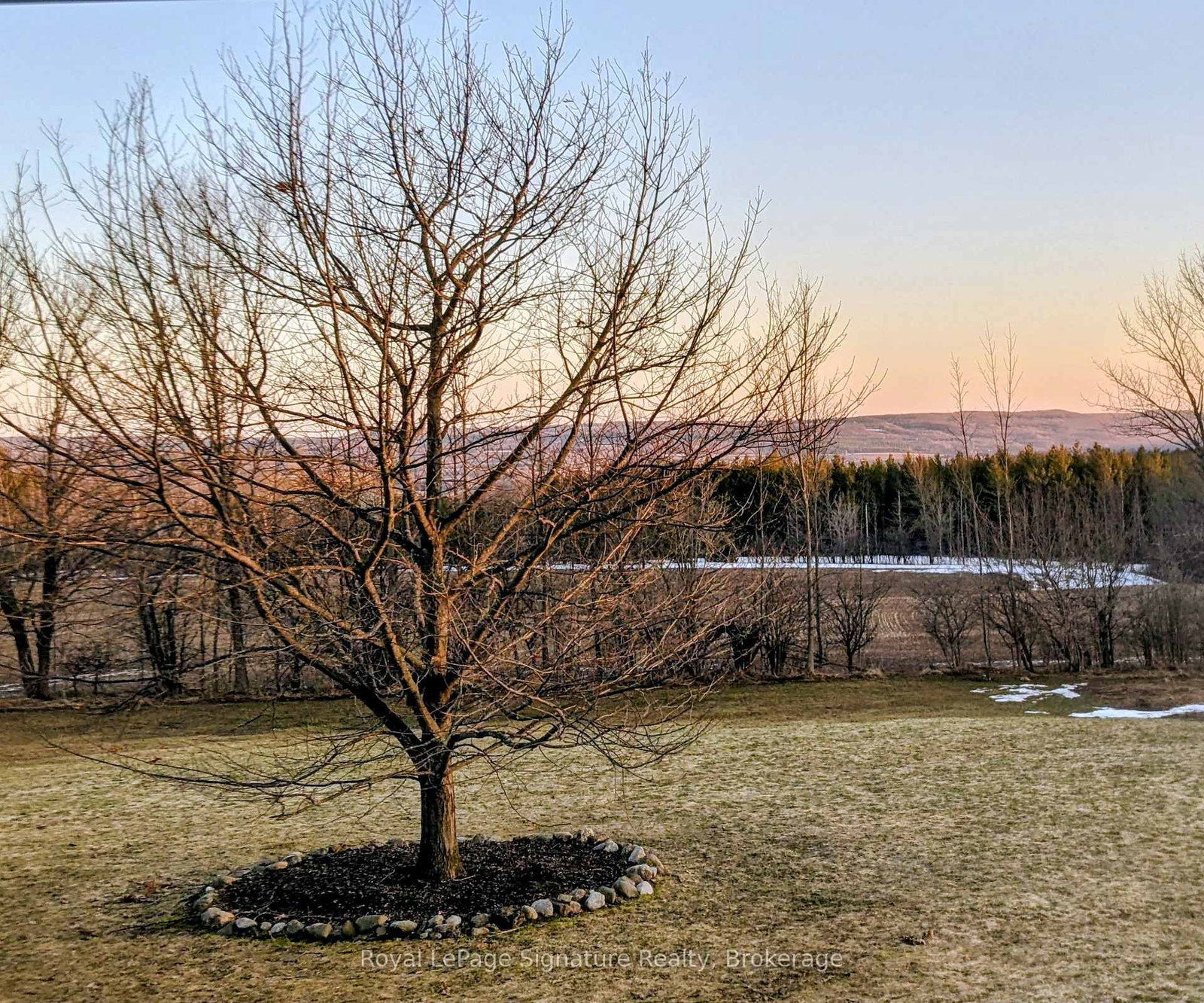 807035 25th Side Road • Grey Highlands, ON photo 34