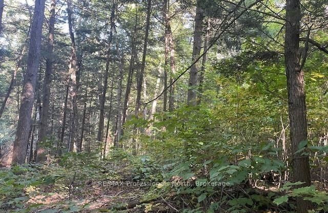 Vacant Land for sale at 3 STONE GATE Lane, Bracebridge, Ontario, P1L 1X3 - Draper - MLS: X12855204
