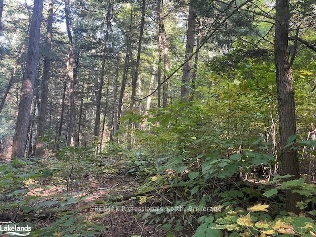 Vacant Land for sale at 4 STONE GATE Lane, Bracebridge, Ontario, P1L 1X3 - Draper - MLS: X12855208