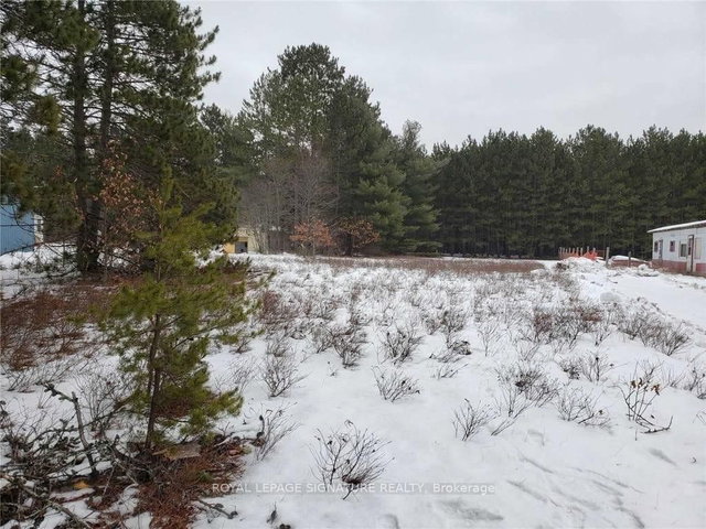 39780 Combermere Road