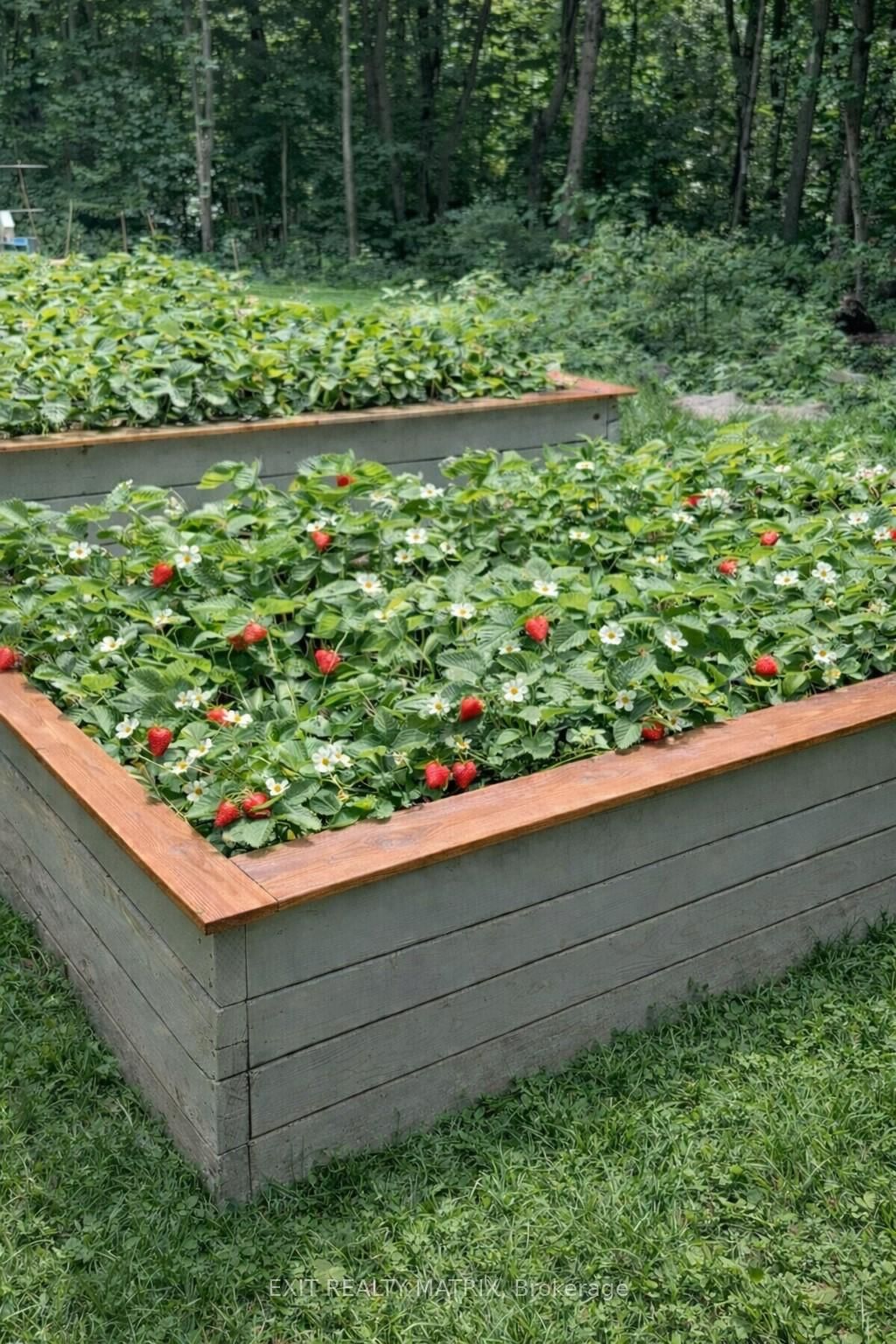 Detached House for sale at 2191 Cassburn Road, Champlain, Ontario, K0B 1K0 - Champlain Twp - MLS: X12858706