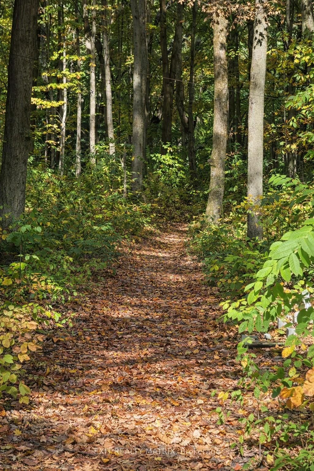 Detached House for sale at 2191 Cassburn Road, Champlain, Ontario, K0B 1K0 - Champlain Twp - MLS: X12858706