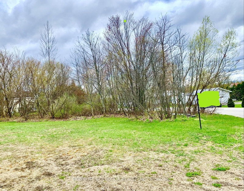 195 Nelson St, Gravenhurst, P1P 1K7 | Image 3