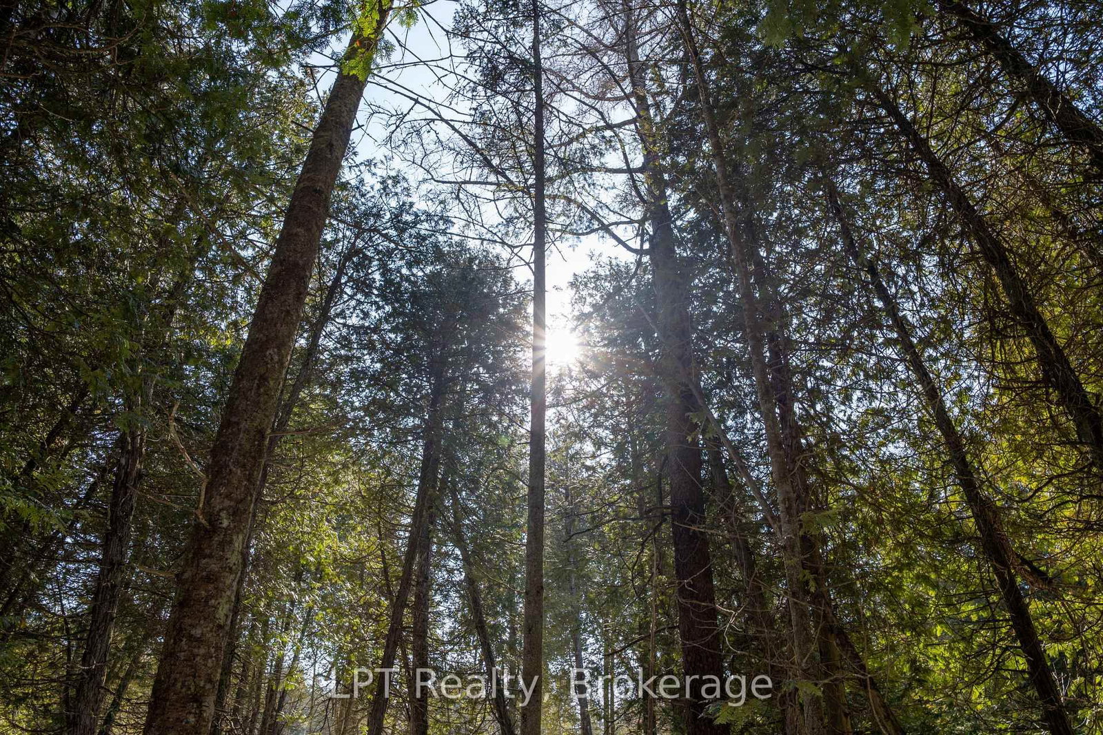 PT LT 24 Spry Shore Road • Northern Bruce Peninsula, ON photo 5