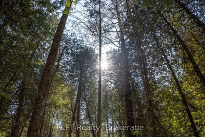 PT LT 24 Spry Shore Road • Northern Bruce Peninsula, ON photo 5