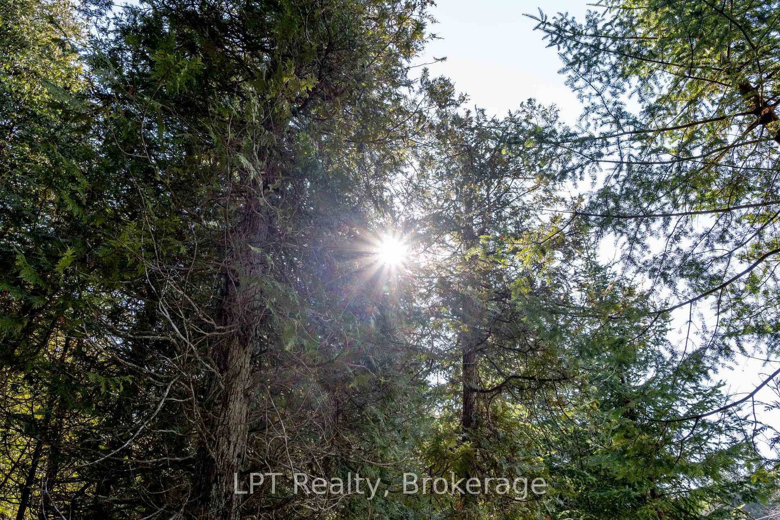 PT LT 24 Spry Shore Road • Northern Bruce Peninsula, ON photo 6