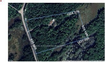 1603 BALMER Rd, North Kawartha, K0L 1A0 | Image 2