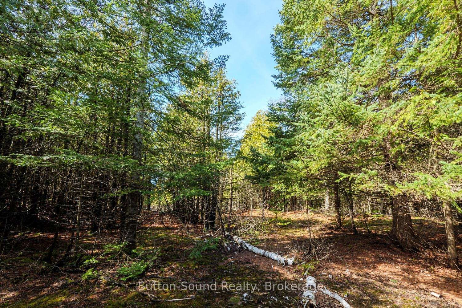 146 Sutter Road • Northern Bruce Peninsula, ON photo 10