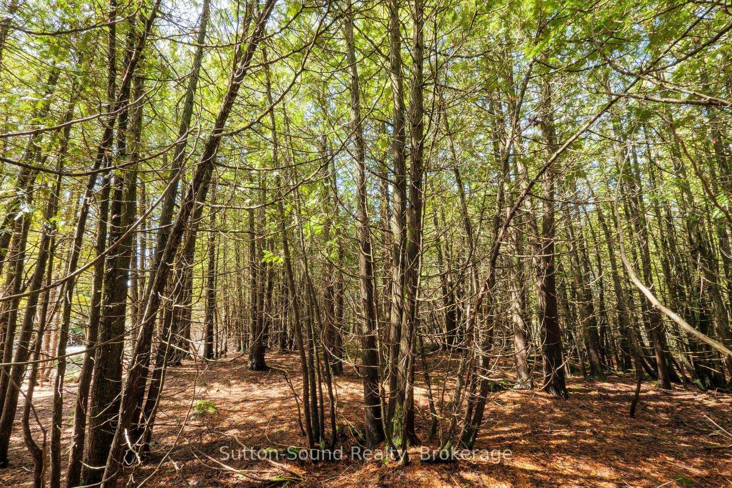 146 Sutter Road • Northern Bruce Peninsula, ON photo 11