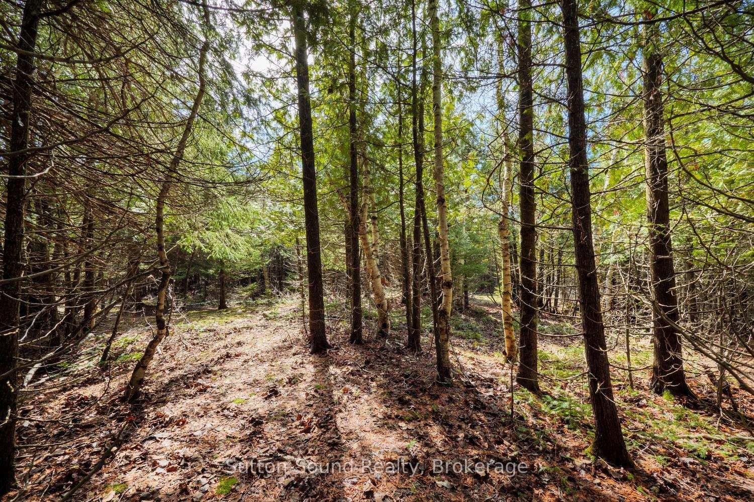 146 Sutter Road • Northern Bruce Peninsula, ON photo 12