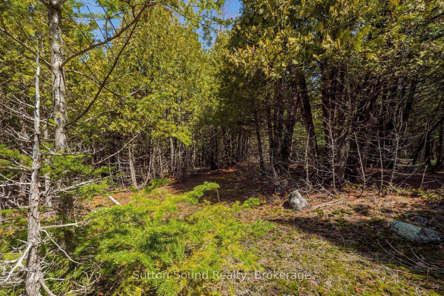 146 Sutter Road • Northern Bruce Peninsula, ON photo 13