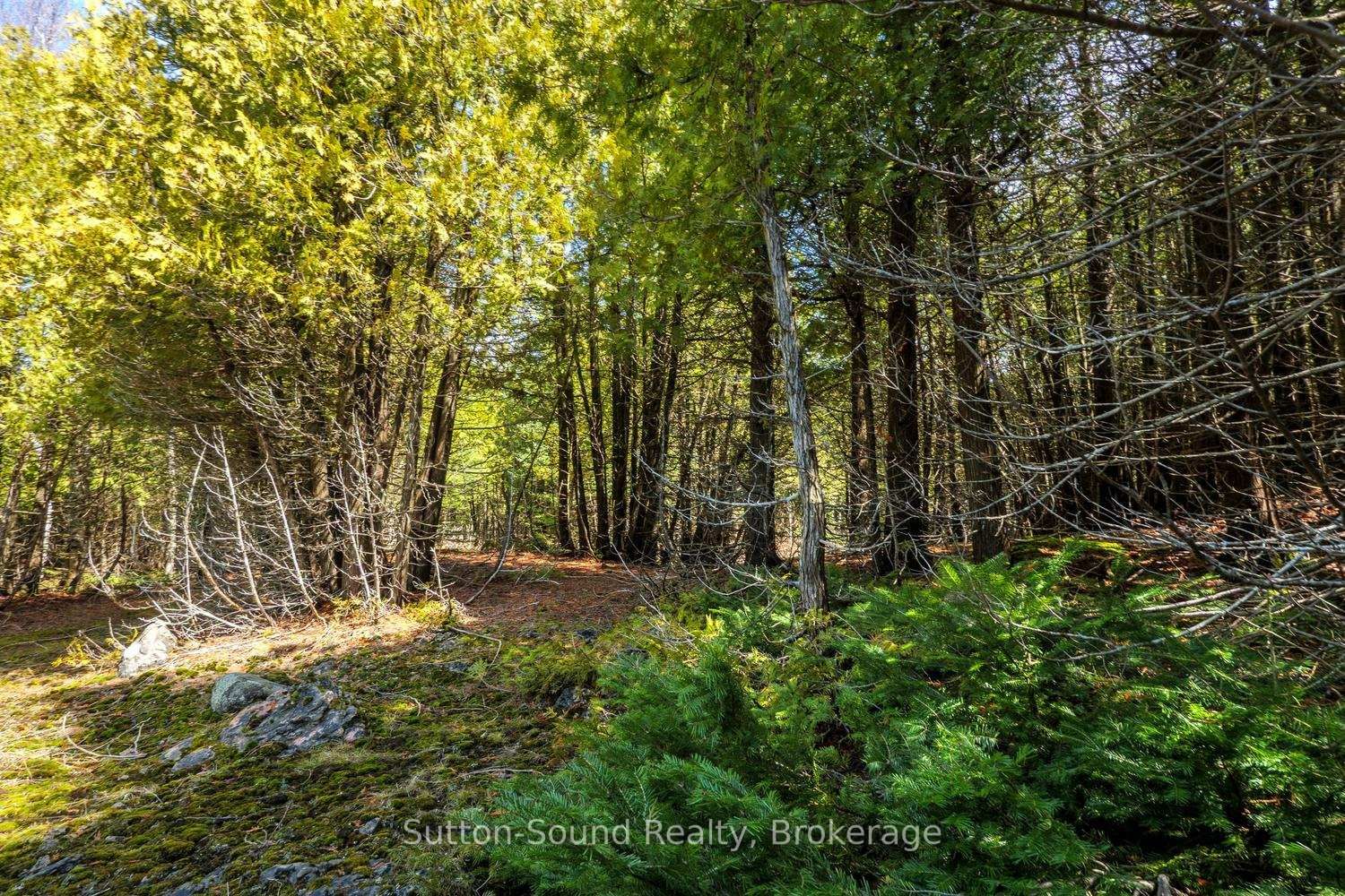 146 Sutter Road • Northern Bruce Peninsula, ON photo 16