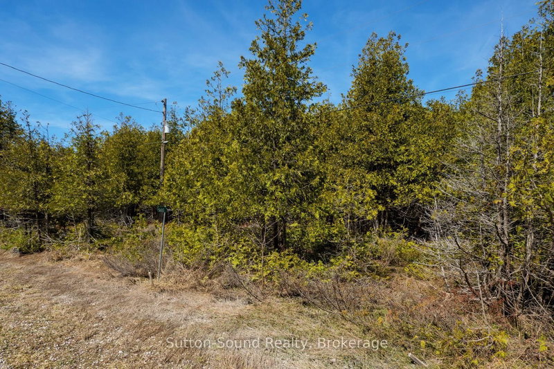 146 Sutter Rd photo 5