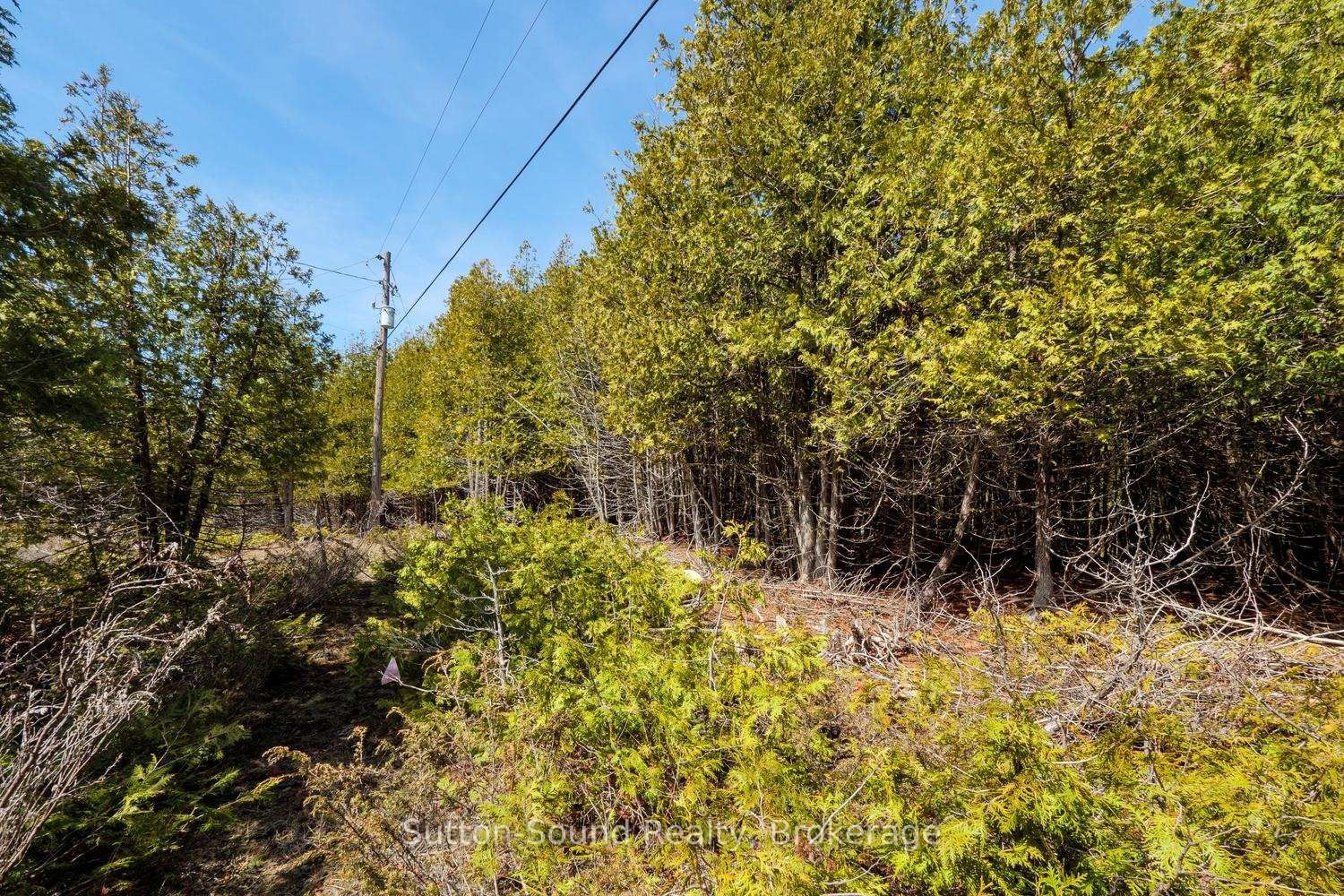 146 Sutter Road • Northern Bruce Peninsula, ON photo 6