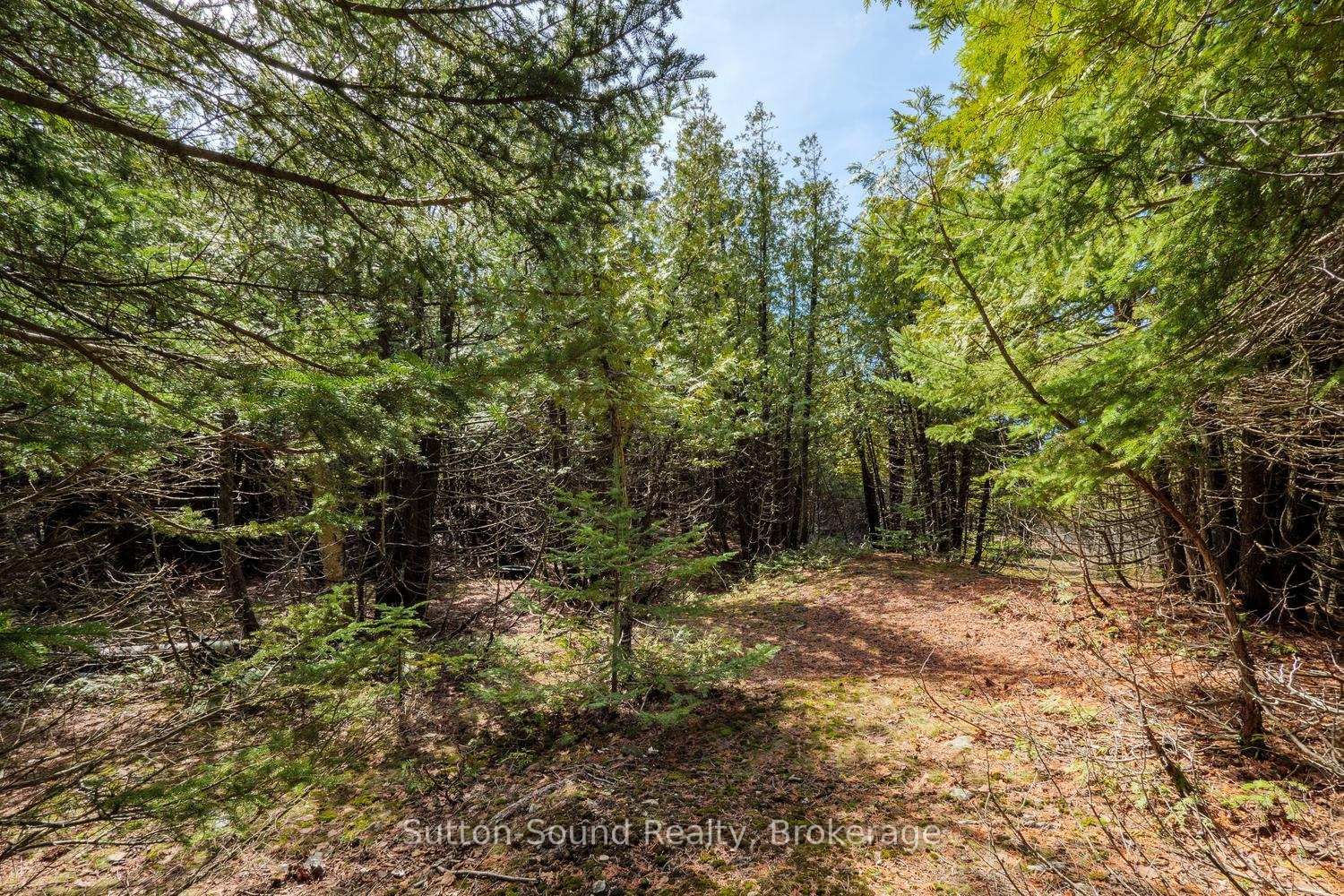 146 Sutter Road • Northern Bruce Peninsula, ON photo 7