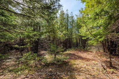 146 Sutter Road • Northern Bruce Peninsula, ON photo 7