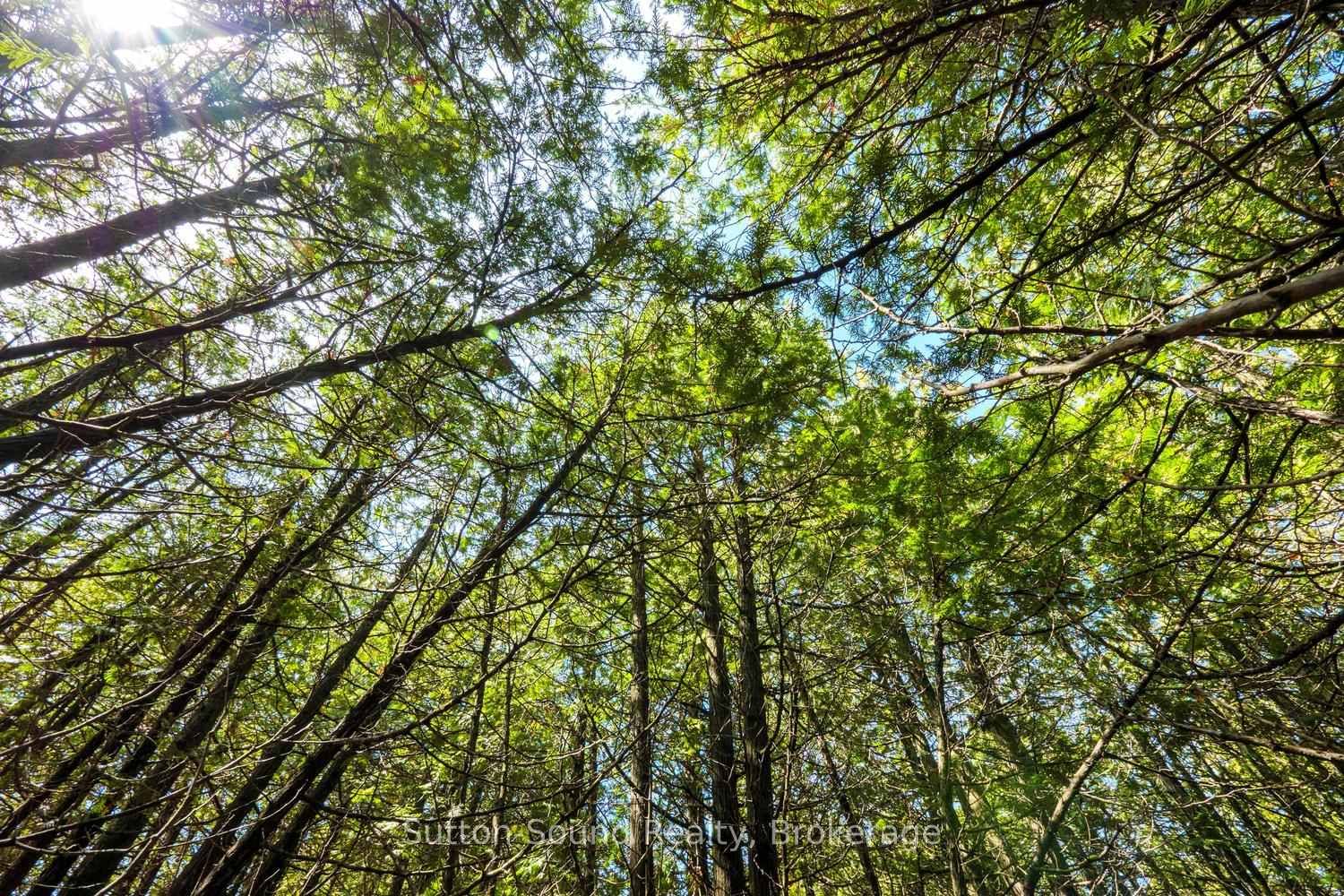 146 Sutter Road • Northern Bruce Peninsula, ON photo 8