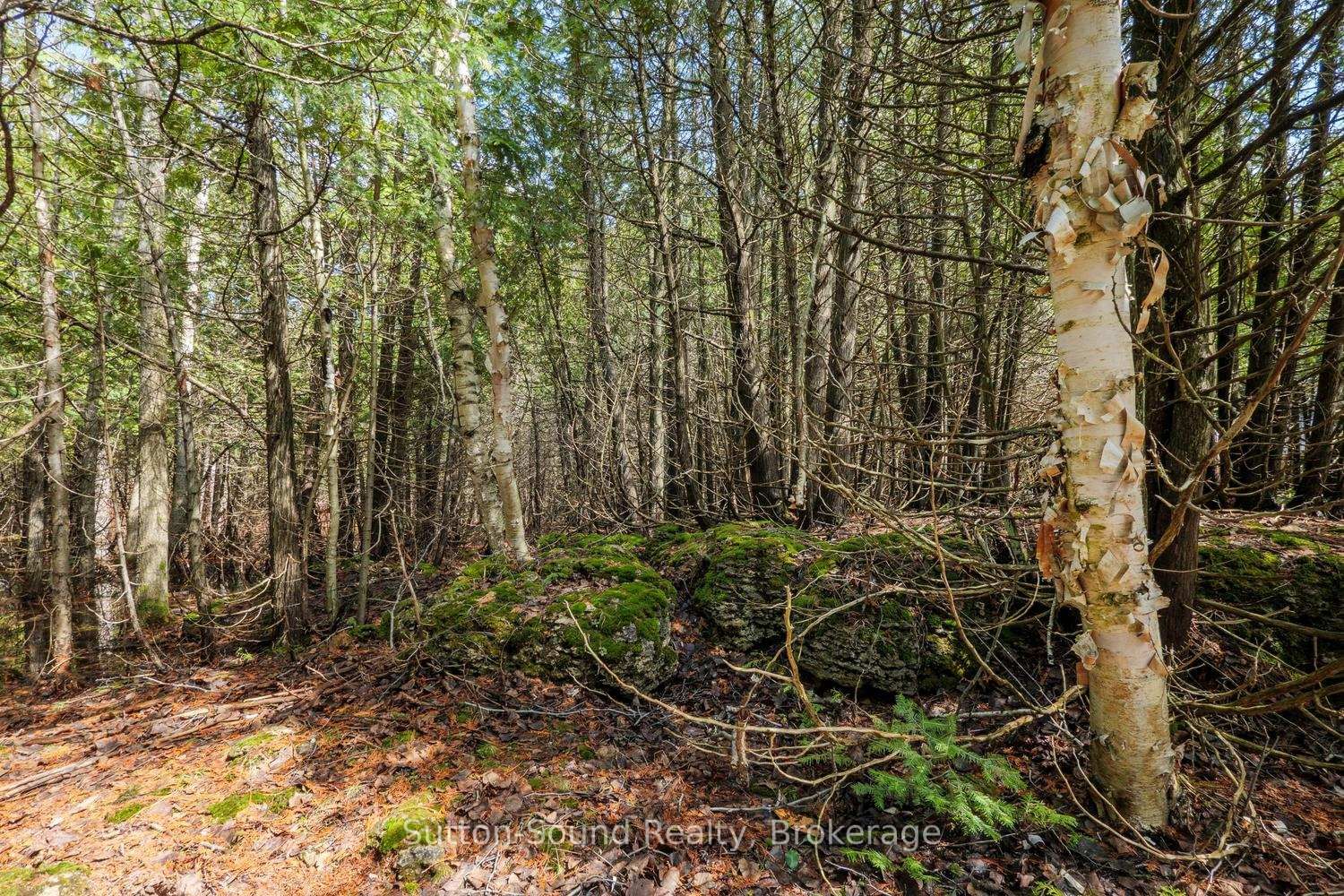 146 Sutter Road • Northern Bruce Peninsula, ON photo 9