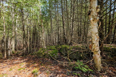 146 Sutter Road • Northern Bruce Peninsula, ON photo 9