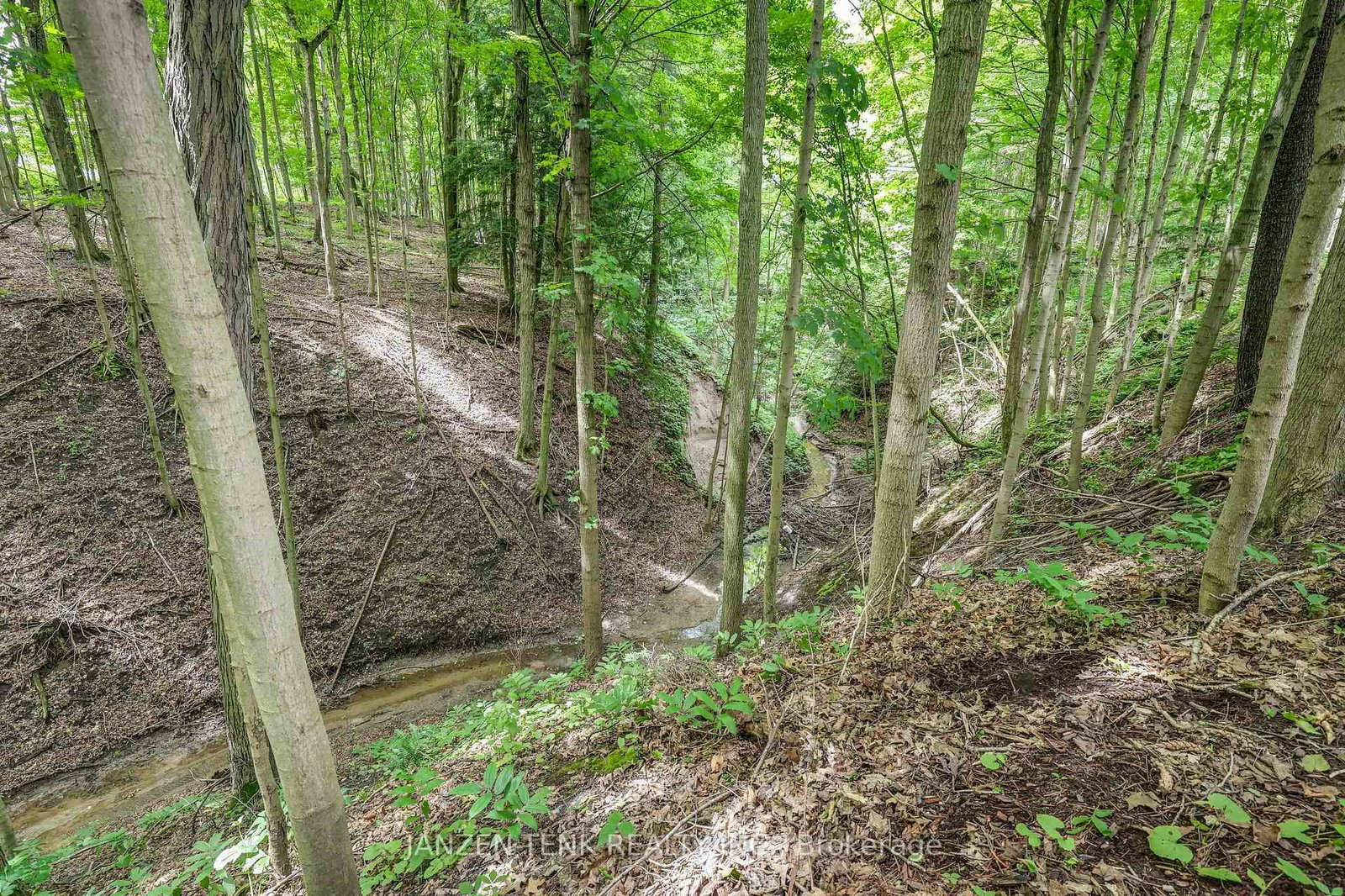 Detached House for sale at 56741 Eden Line, Bayham, Ontario, N0J 1H0 - Eden - MLS: X12865644