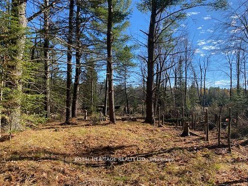 17556 Highway 62, Madoc, K0K 2K0 | Image 3