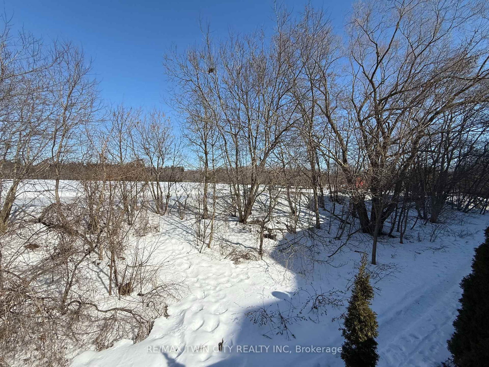 24 Marilyn Drive, Unit 101 - Photo 23