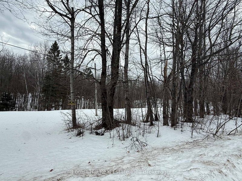 0 East Rd, Parry Sound Remote Area, P0H 1S0 | Image 2