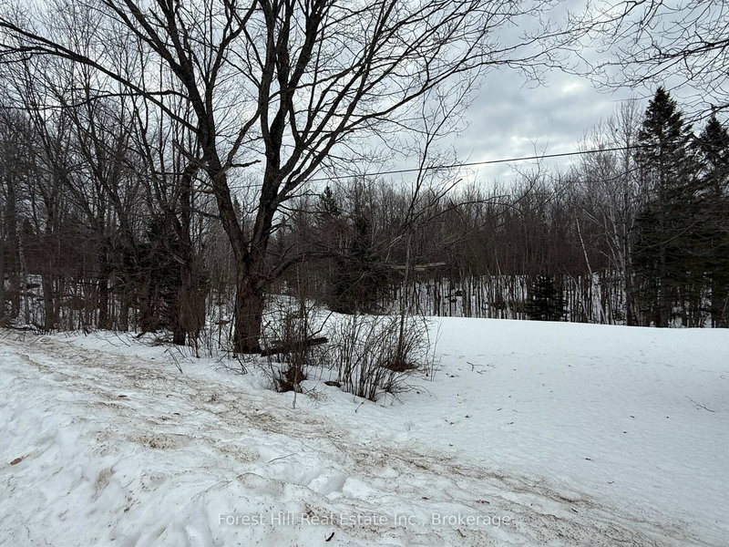 0 East Rd, Parry Sound Remote Area, P0H 1S0 | Image 3