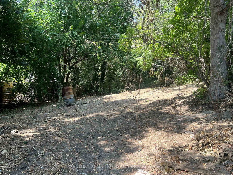 7122 Sidey Dr photo 5