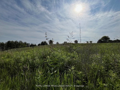 Lot 24 McCarty Drive • Cobourg, ON photo 4
