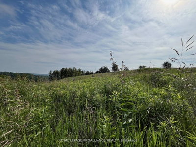 Lot 24 McCarty Drive • Cobourg, ON photo 5