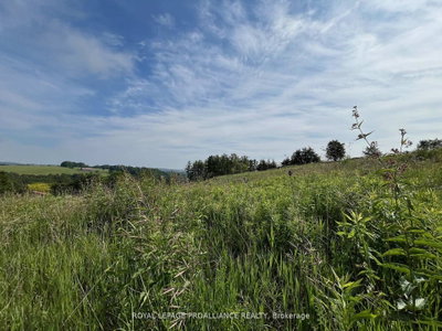 Lot 24 McCarty Drive • Cobourg, ON photo 6
