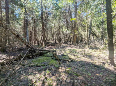 PT LT 56 Con 4 Cape Hurd Road • Northern Bruce Peninsula, ON photo 9