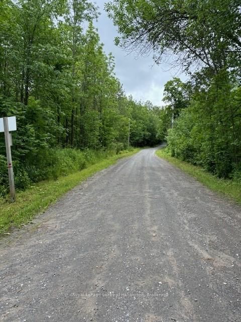 Lot 70 25th Line, Algonquin Highlands, K0M 1J1 | Image 2