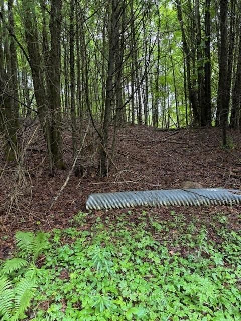 Lot 70 25th Line, Algonquin Highlands, K0M 1J1 | Image 3