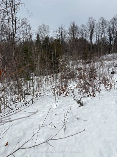 Lot 0 County Road 38 undefined | Sharbot Lake | Image