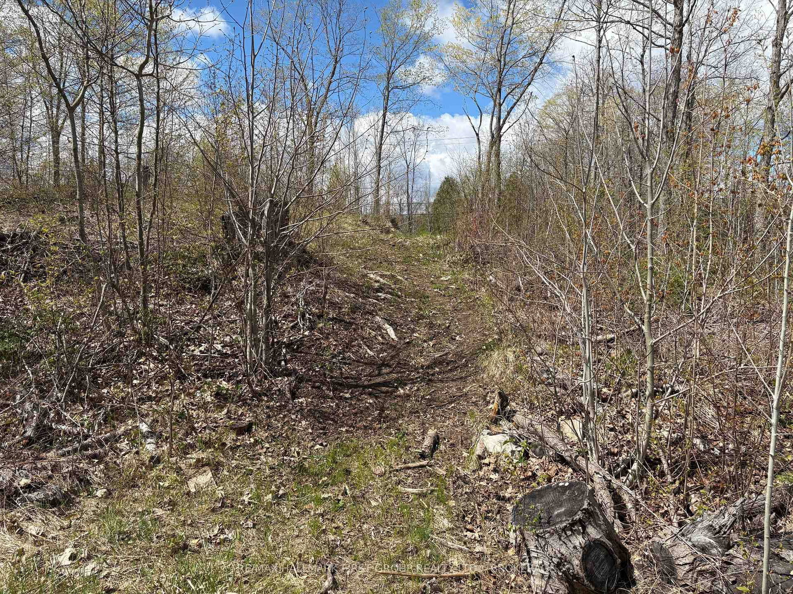 Lot 0 County Road 38 • Sharbot Lake, ON photo 10